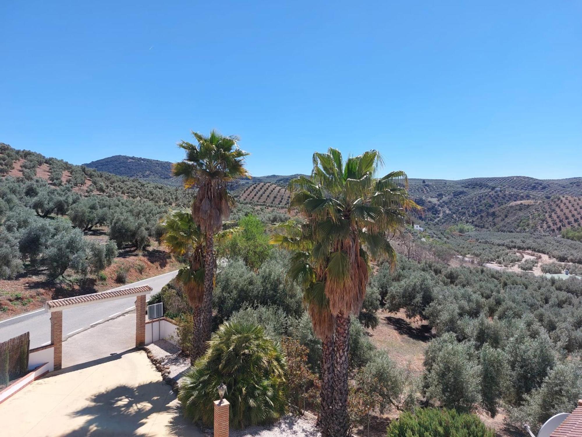 Casa Pino Solo Lägenhet Iznájar Exteriör bild